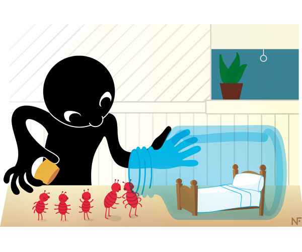 Illustration of Bedbugs for Time Magazine